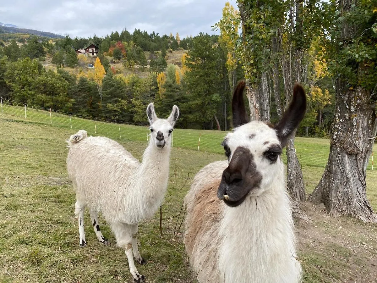 Guest house La Ferme Du Riouclar Hotel Embrun